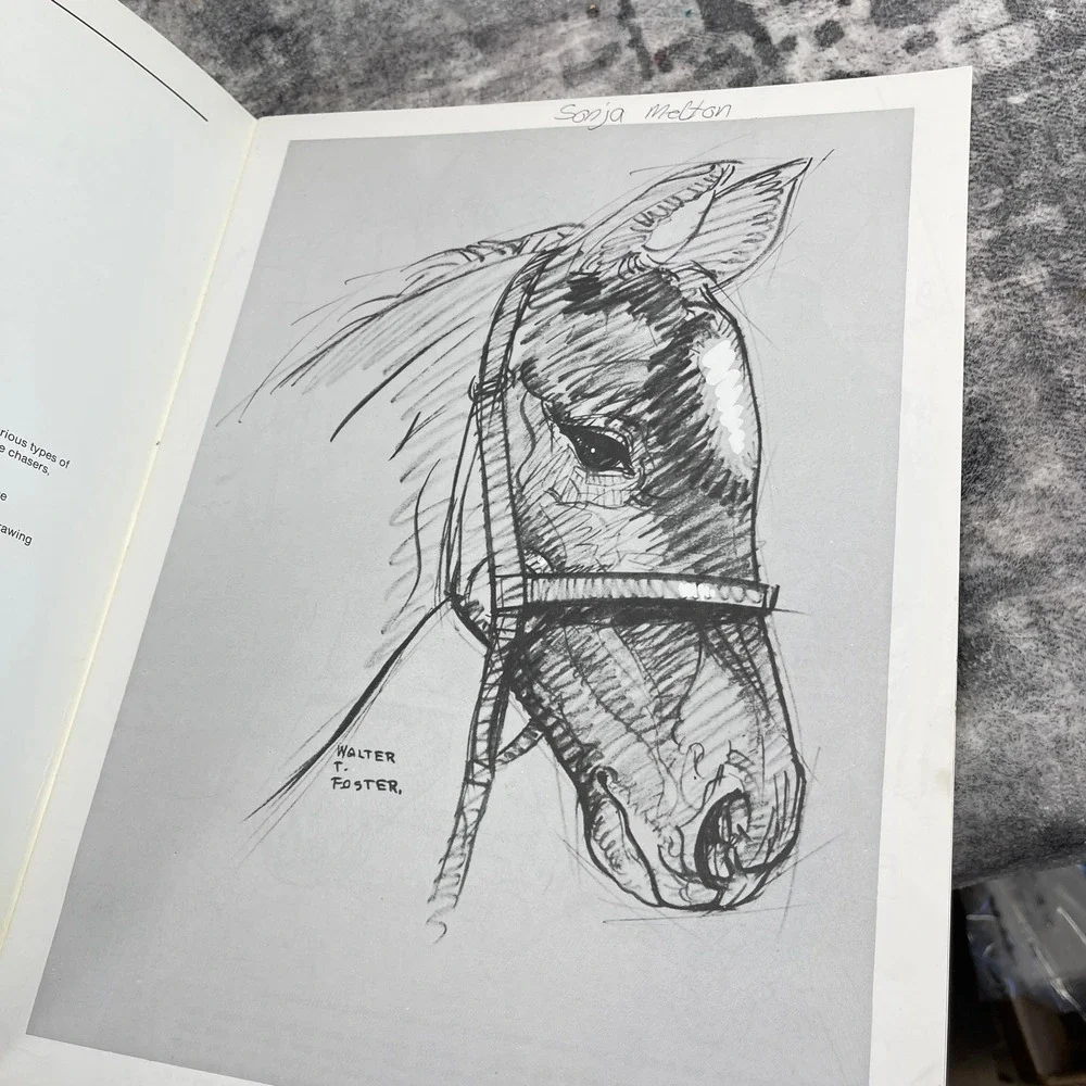 How to Draw Horses Art‎ Instruction Book White Sketch Walter Foster